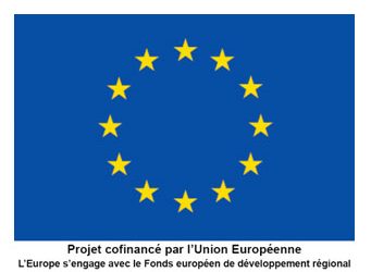 APPELS À PROJETS EUROPEENS : AAPG 2021 – Axe 2.3 Polymères, composites, physique et chimie de la matière molle, procédés