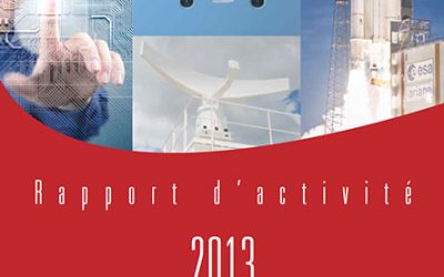 Rapport d’activité NAE 2013