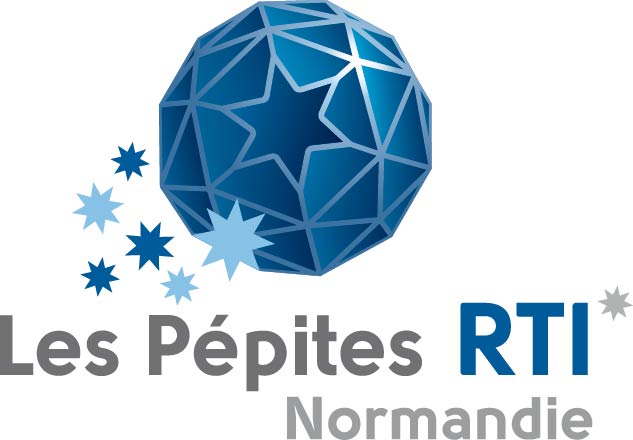 Pépite RTI Metal to Plastic (DEDIENNE MULTIPLASTURGY GROUP)