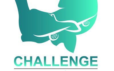 Lancement Saison#2 – Challenge NAE sur l’aéronautique du futur
