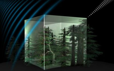Sentinel, MicroCarb…Ces satellites qui surveillent le climat