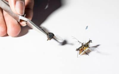 Faire voler des drones grâce à l&rsquo;énergie laser – Apps&Drones