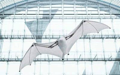 Plus réelle que Batman, la chauve-souris bionique de Festo