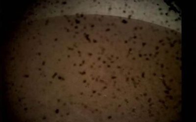 Succès de l’atterrissage de la sonde InSight sur Mars – Air&Cosmos