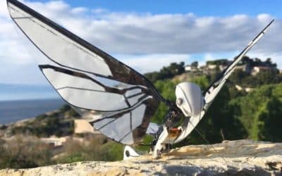 MetaFly, l’objet volant comme un oiseau conçu en France – Loisirs