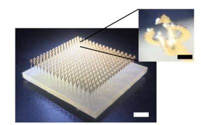 L’impression 3D décuple les possibilités des métamatériaux – Impression 3D