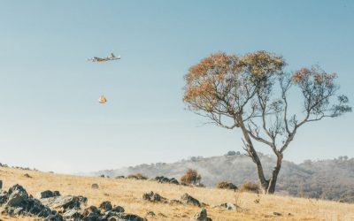 Google devance Amazon et devient le premier opérateur autorisé à livrer par drone aux Etats-Unis – Digital/Technos