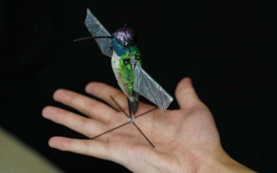 Le robot Colibri utilise l&rsquo;IA pour aller bientôt là où les drones ne peuvent pas