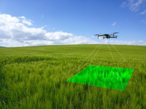 New drone technology revolutionises crop walking – FarmingUK News
