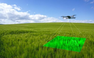 New drone technology revolutionises crop walking – FarmingUK News