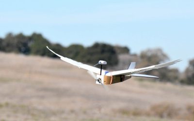 Ce drone doté de véritables plumes reproduit parfaitement le vol d&rsquo;un oiseau