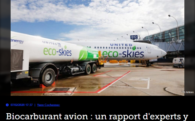 Biocarburant avion : un rapport d’experts y pousse aussi