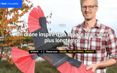 Un drone inspiré d’un rapace pour voler plus longtemps