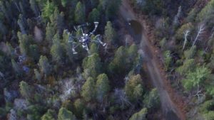 Faire l’inventaire de la forêt à vol de drone | Radio-Canada.ca