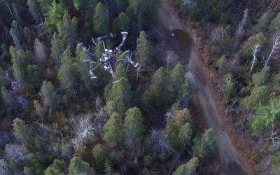 Faire l&rsquo;inventaire de la forêt à vol de drone | Radio-Canada.ca