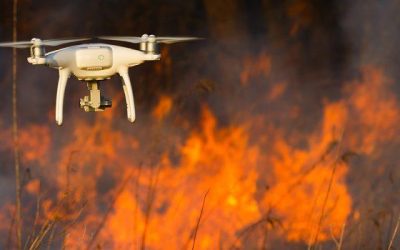 This AI drone can locate victims by their scream | MENAFN.COM
