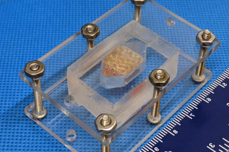 Primés par la Nasa, des scientifiques impriment en 3D des tissus hépatiques humains