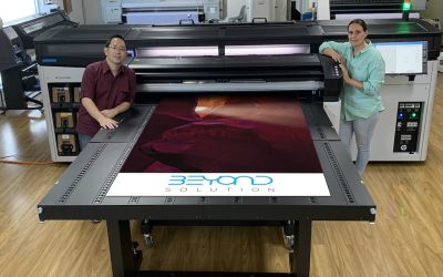 Les membres NAE s’engagent pour l’environnement :  Les succès d’EMS en Responsabilité Sociétale des Entreprises