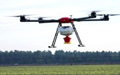 Utilisations de drone dans l&rsquo;agricole : quelles nouveautés pour demain ?