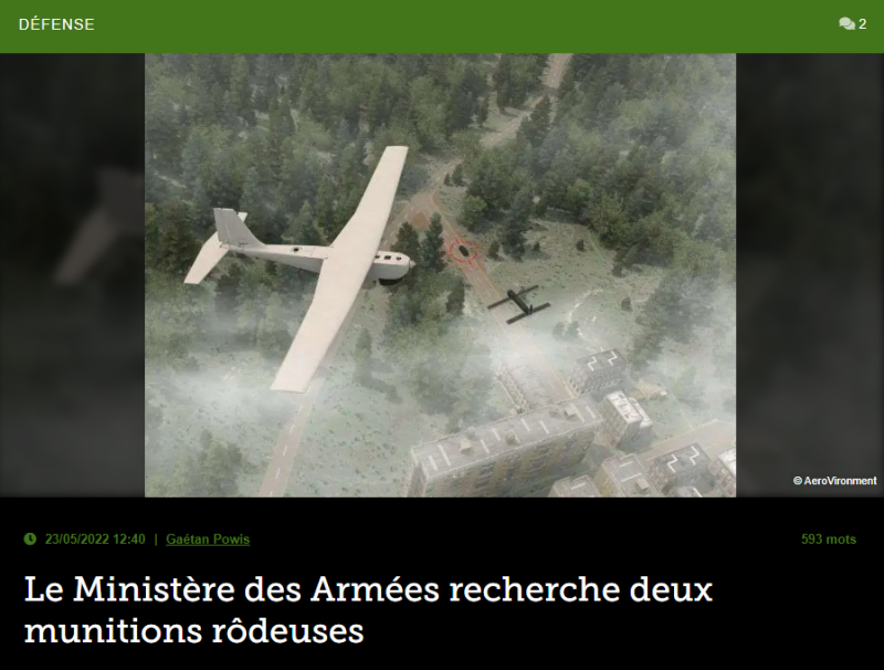 Le Ministère des Armées recherche deux munitions rôdeuses