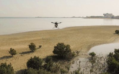 Abu Dhabi plants one million mangrove seeds by drone