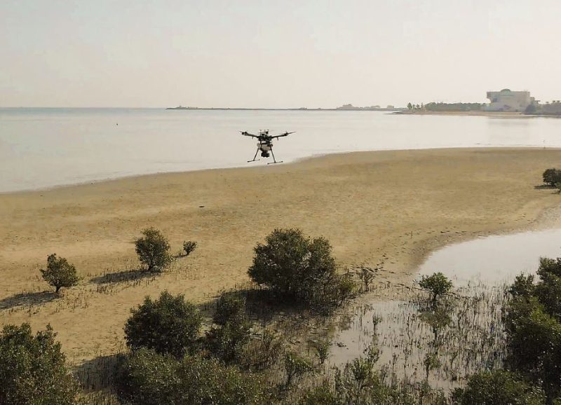 Abu Dhabi plants one million mangrove seeds by drone