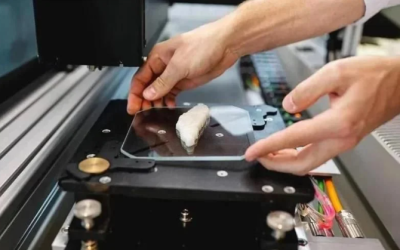 Un filet de poisson pour la première fois imprimé en 3D