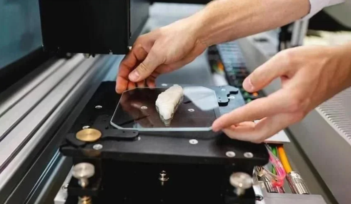 Un filet de poisson pour la première fois imprimé en 3D