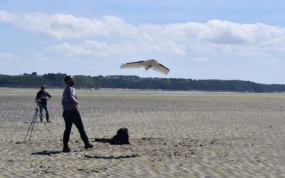 Des drones à la pointe de la technologie pour surveiller le littoral de la Manche