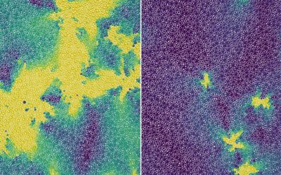 Des scientifiques identifient une transition de phase cachée entre liquide et solide