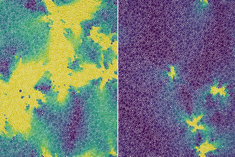 Des scientifiques identifient une transition de phase cachée entre liquide et solide