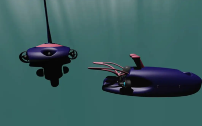 Drones sous-marins: la France veut créer une armée anti-navires ennemis