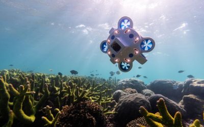 Un industriel australien lance des mini-drones à la mer pour explorer les fonds marins