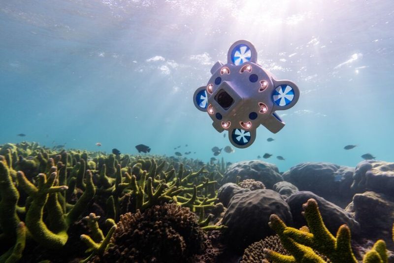 Un industriel australien lance des mini-drones à la mer pour explorer les fonds marins