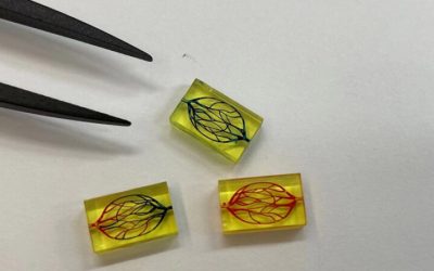 Application médicale du mois : à la découverte de la micro impression 3D