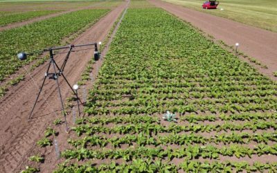 Comment l’IA et l’impression 3D changent la façon dont nous cultivons les aliments