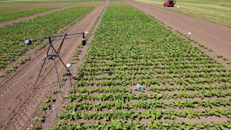 Comment l’IA et l’impression 3D changent la façon dont nous cultivons les aliments