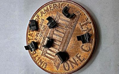 Un dispositif micro-imprimé 3D permet d’enregistrer l’activité neuronale chez la souris