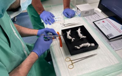 Lynxter et 3Deus Dynamics nouent un partenariat stratégique autour de l&rsquo;impression 3D de pièces en silicone