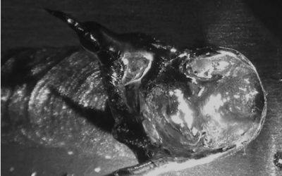 Comment les signaux acoustiques peuvent aider à détecter les défaillances dans le soudage au laser et l’impression 3D