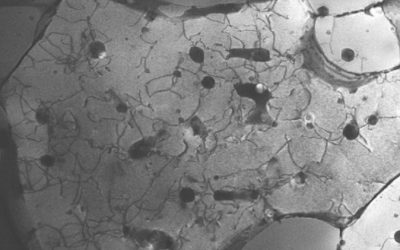 Un cristal peu commun a été découvert pour rendre le métal imprimé en 3D plus solide