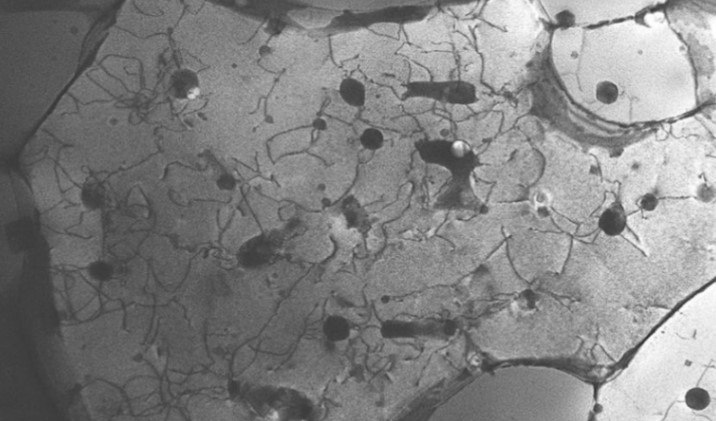 Un cristal peu commun a été découvert pour rendre le métal imprimé en 3D plus solide
