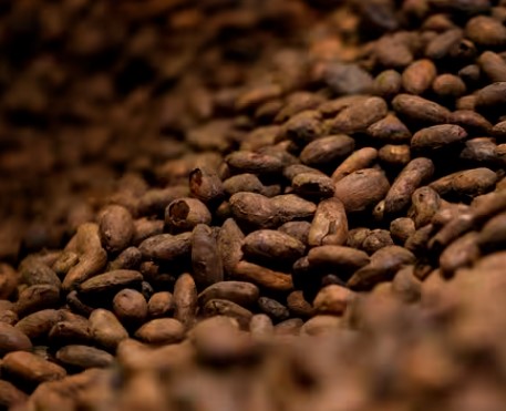 Chocolat, maïs, riz, blé, café… Le changement climatique menace la sécurité des importations alimentaires de l’Union européenne, selon une étude