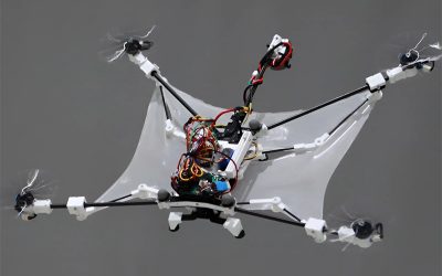 Un drone inspiré d’un écureuil volant utilise des ailes extensibles… pour ARRÊTER de voler