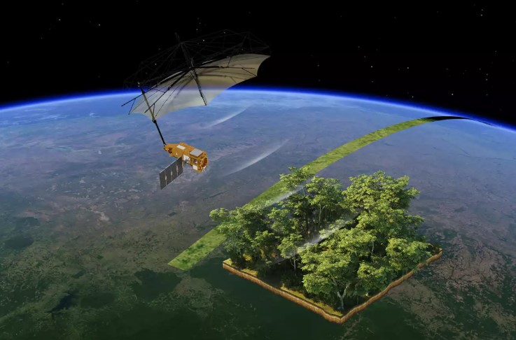 Un radar inédit pour mesurer la biomasse tropicale