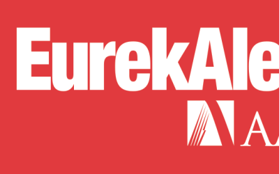 Down‑top strategy engineered large‑scale fluorographene/PBO nanofibers composite papers with excellent wave‑transparent performance and thermal conductivity