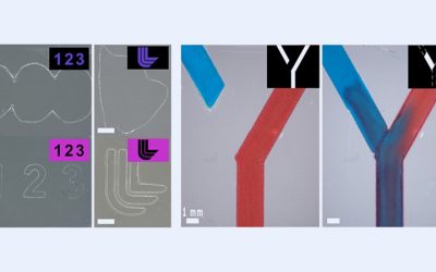 Une résine unique permet à la méthode d’impression 3D d’ajouter et de soustraire