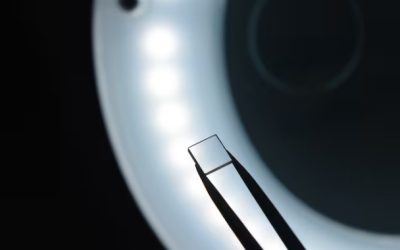 Matières premières : Issue du CNRS, cette start up française parvient à générer des diamants électroniques