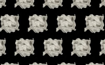 3D Architech est notre startup de l’année 2025