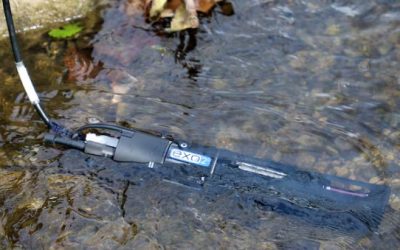 Des capteurs en mer, des satellites dans l’espace, l’intelligence artificielle entre les deux : l’Ifremer expérimente une nouvelle surveillance des eaux côtières